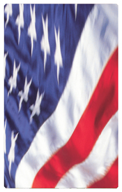 DNSHERT C 420 American Flag